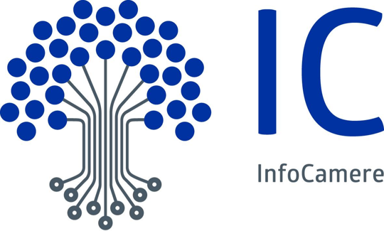 Logo InfoCamere